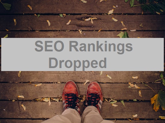 SEO Rankings Dropped overnight