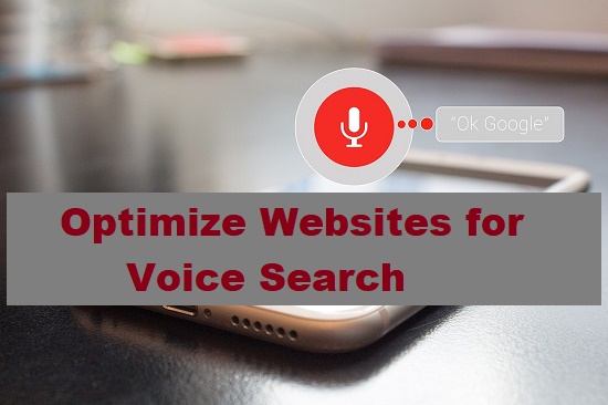 Optimize Your Website for Voice Search in 2024