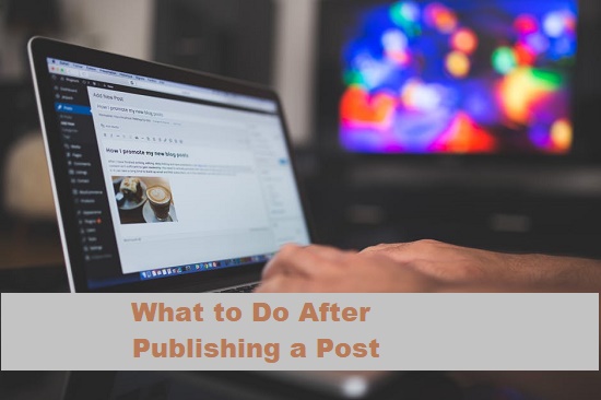 What to do after publishing a post