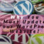 Benefits of Updating Your WordPress Website