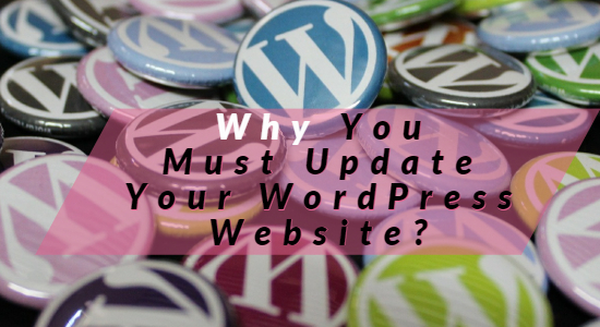 update WordPress websites Now