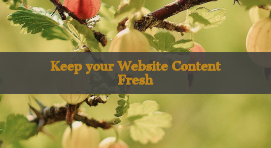 keep your your website content fresh