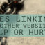 What are Outbound Links