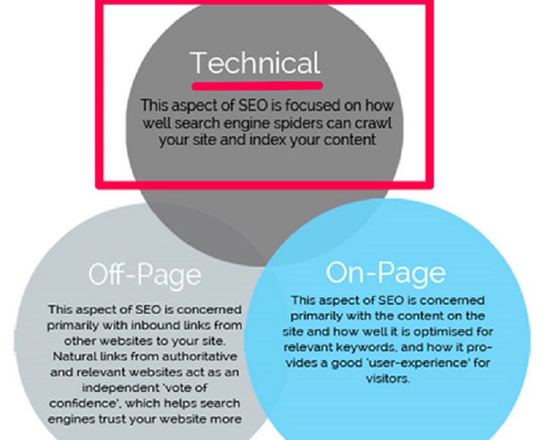 Technical SEO Mistakes Bound to Reduce Traffic