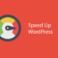Ways to Optimize a WordPress Website