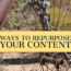 Ways to Repurpose your old Content
