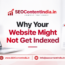 Why Your Website Might Not Get Indexed