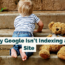 Why Google Isn't Indexing Your Site