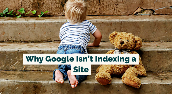 Why Your Website Might Not Get Indexed